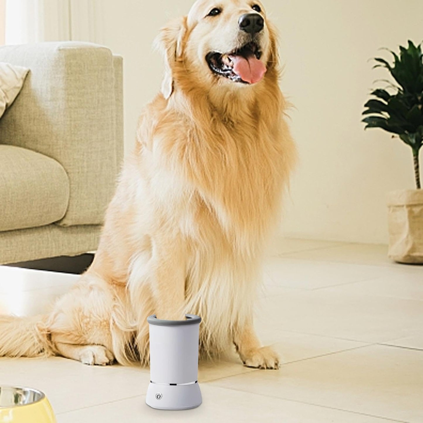 Pet Paw Washer