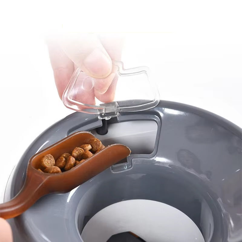 Interactive Ball Launcher
