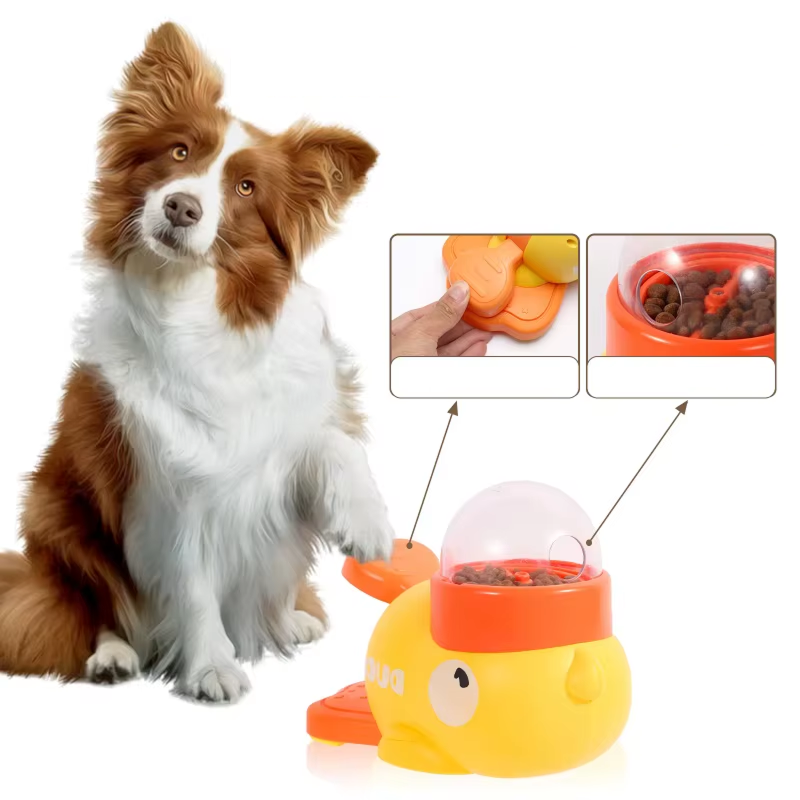 Duck-Shaped Dispenser