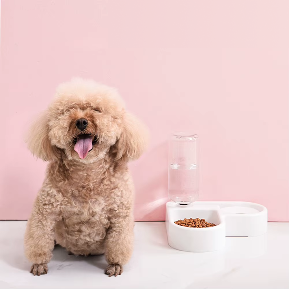Food Bowl
