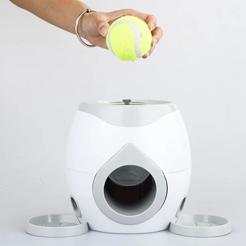 Interactive Ball Launcher