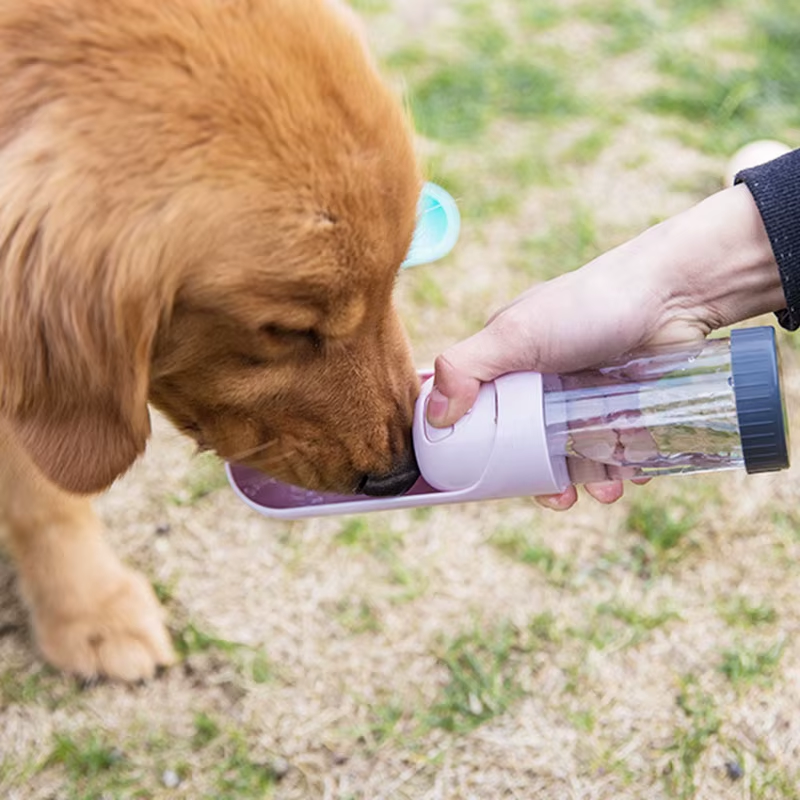 Travel Drinking Bowl
