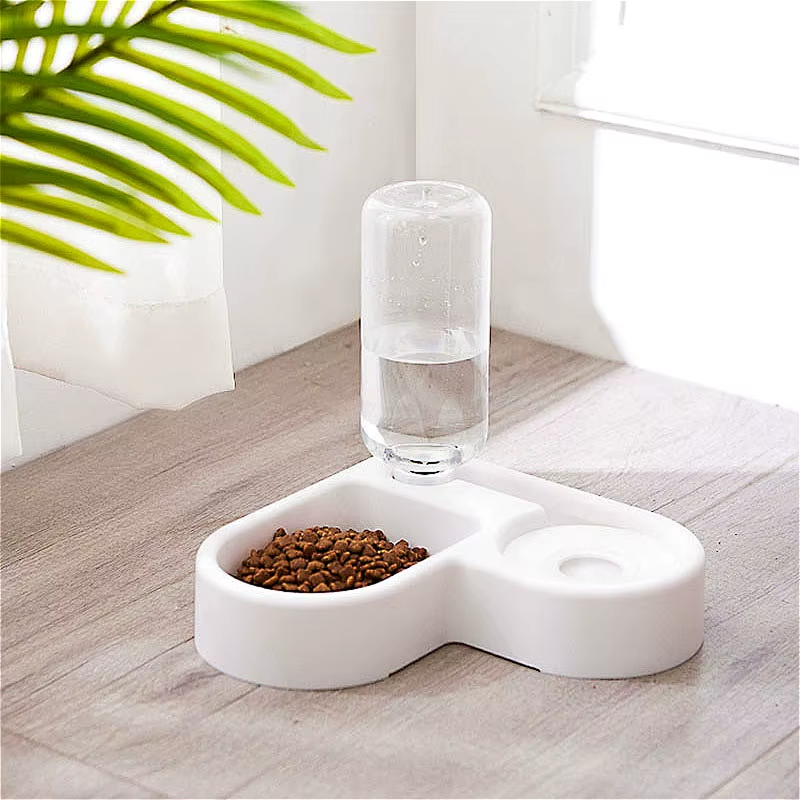 Food Bowl
