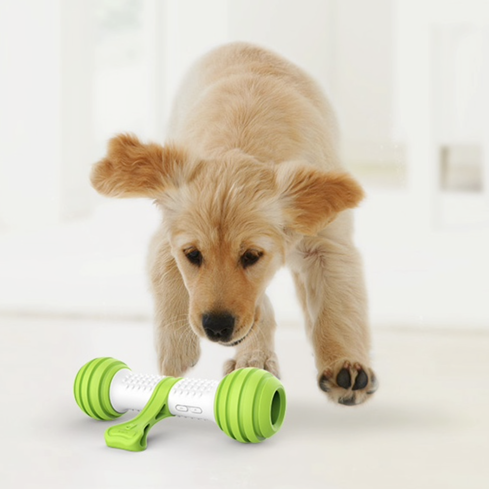 Automatic Dog Bone