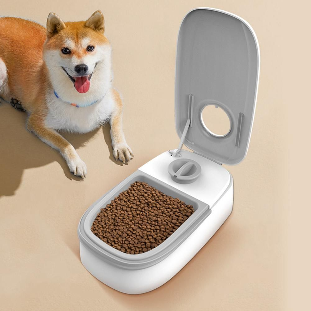 Automatic Pet Feeder