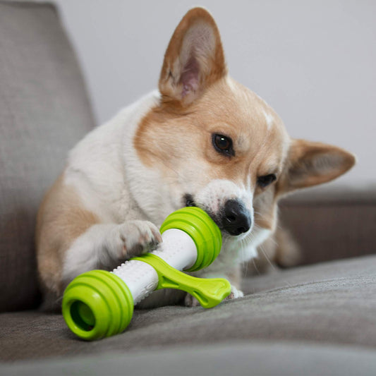 Automatic Dog Bone