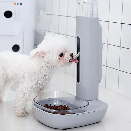 Automatic Dispenser