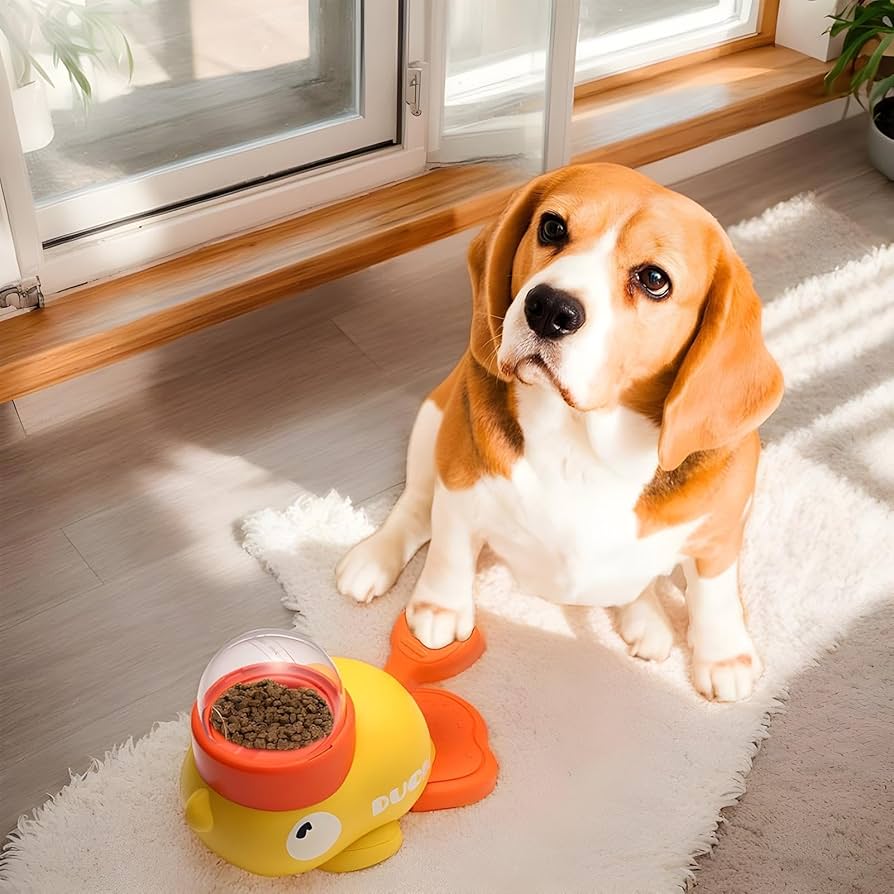 Duck-Shaped Dispenser
