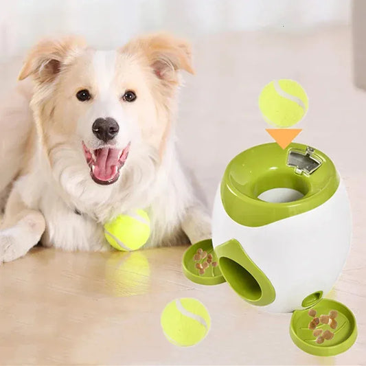 Interactive Ball Launcher