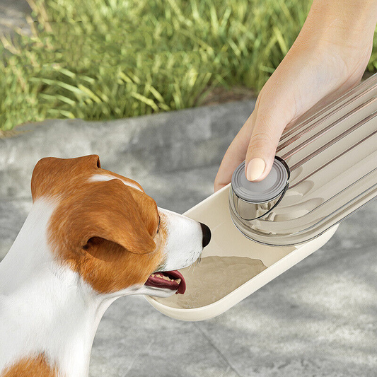 Water Bottle 2 In 1