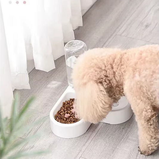 Food Bowl