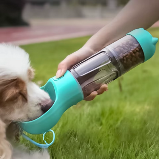 Multifunctional Bottle