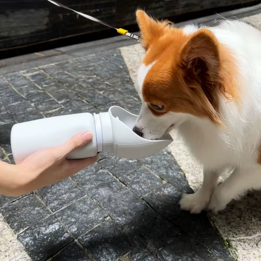 Leak Proof Bottle