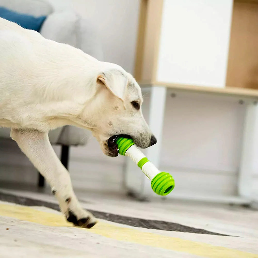 Automatic Dog Bone